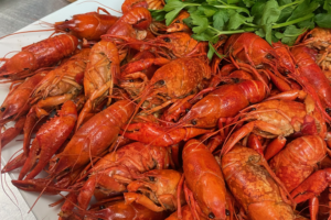 Discover the Taste and Tradition of Louisiana Crawfish - Louisiana Cookin' Louisiana crawfish is a great source of protein. They are locally farmed and available throughout the year. That is why the finest chefs in Louisiana use Louisiana’s premier ingredient. So, when you eat out and cook Louisiana crawfish in your recipes, be sure you are buying Louisiana Certified sourced product. Find recipes and more at 