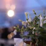 Going with the Grain Pop-Up Dinner - Louisiana Cookin' In April 2014, we hosted the Going with the Grain Pop-up Dinner with Cajun Country Rice at the historic Falcon Rice Mill in Crowley, Louisiana. 