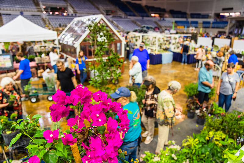 A Fall Festival Weekend in Lake Charles - Louisiana Cookin' Lake Charles, Louisiana, is a great place to visit any time of year, but fall is especially outstanding. The weather is mild, gumbo season is in full effect, and there are a number of great festivals to enjoy. Here’s a possible itinerary for a fall festival weekend in Lake Charles: Thursday, check into your hotel or 