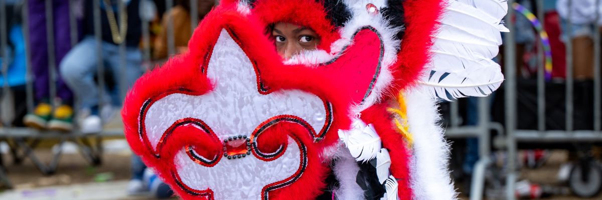 Lafayette Mardi Gras Giveaway 2024 - Louisiana Cookin'  laffy