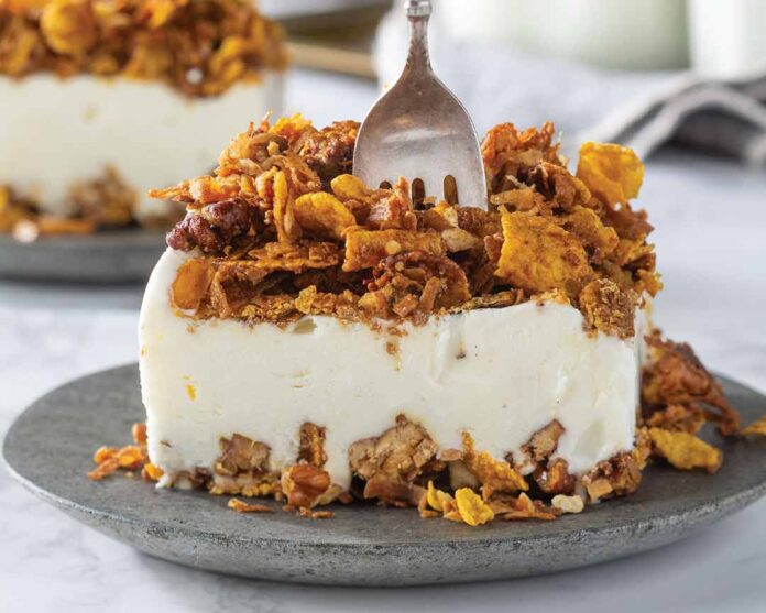 Crispy Coconut Ice Cream Bars