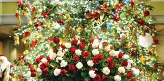 Experience a Crescent City Winter Wonderland at Windsor Court Hotel