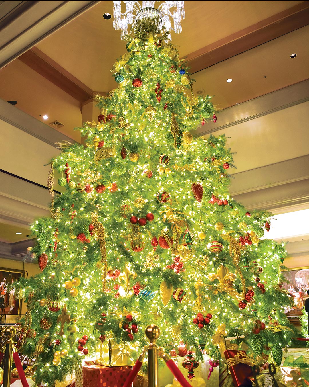 Louisiana’s Best Holiday Experiences - Louisiana Cookin'  