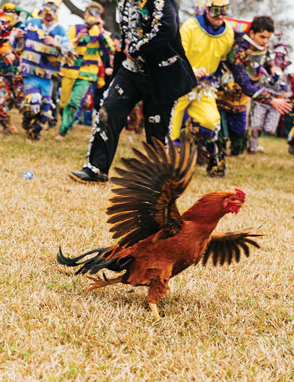 Exploring Courir de Mardi Gras: The Heart of Louisiana’s Rural Mardi Gras Traditions - Louisiana Cookin'  