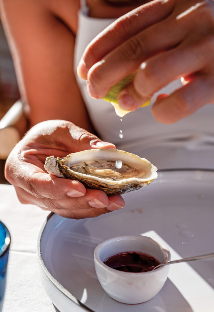 Reviving Tradition: How Bayou Rosa Oyster Farm is Transforming Louisiana’s Oyster Legacy - Louisiana Cookin' Each winter, when temperatures dropped and wild oysters were ready to be harvested, Jason Pitre’s late grandfather Antoine “Whitney” Dardar would venture into oyster-rich ponds and canals off the coast of Lafourche Parish in a pirogue and rake up the bivalves, breaking them apart by hand. It was how he’d done it for decades and oysters
