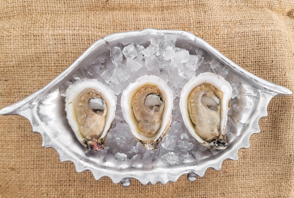 Reviving Tradition: How Bayou Rosa Oyster Farm is Transforming Louisiana’s Oyster Legacy - Louisiana Cookin' Each winter, when temperatures dropped and wild oysters were ready to be harvested, Jason Pitre’s late grandfather Antoine “Whitney” Dardar would venture into oyster-rich ponds and canals off the coast of Lafourche Parish in a pirogue and rake up the bivalves, breaking them apart by hand. It was how he’d done it for decades and oysters on the halfshell