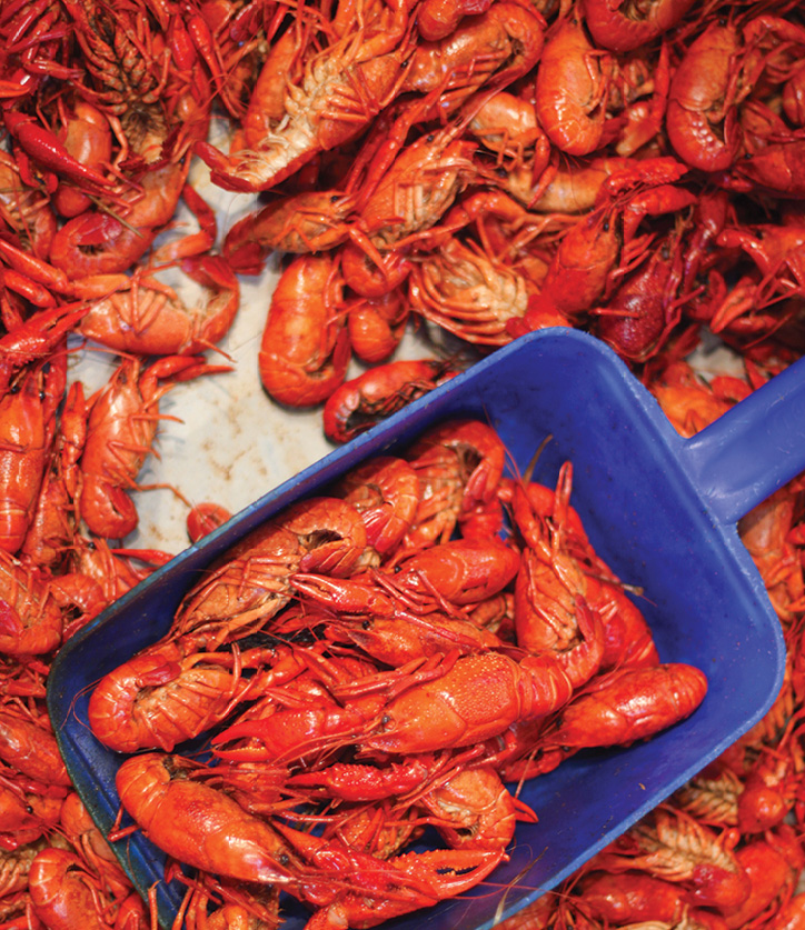 A Love Letter to Louisiana: Recipes and Memories from Fresh from Louisiana - Louisiana Cookin'  boiled crawfish