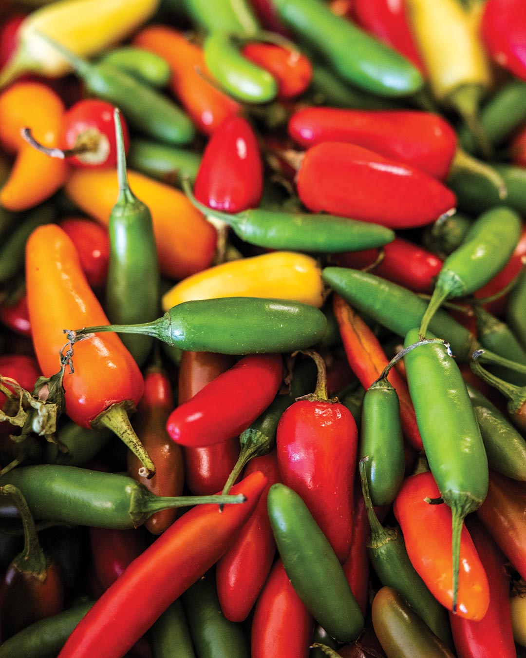 How Mahaffey Farms Is Leading Louisiana’s Regenerative Farming Movement - Louisiana Cookin' Story by Daniel Schumacher, Photography by Kyle Carpenter New Orleans and Lafayette are often the first destinations that come to mind when considering the Louisiana food scene. With their deep roots in Creole and Cajun foodways, it makes sense that they snag many of the culinary headlines, but there is a cadre of chefs and peppers