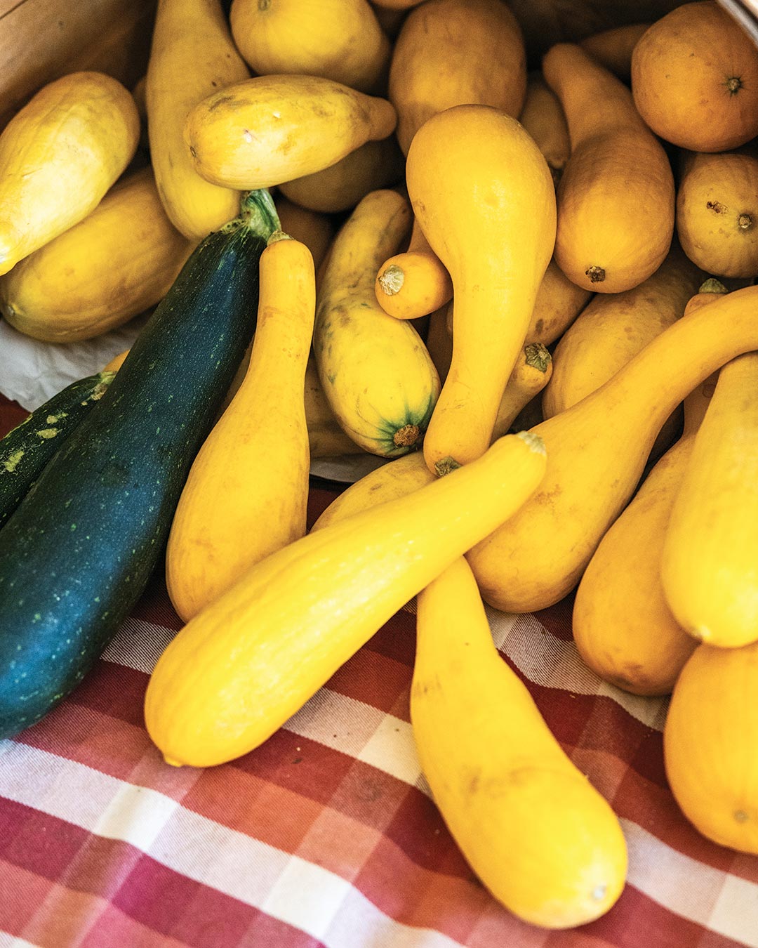 How Mahaffey Farms Is Leading Louisiana’s Regenerative Farming Movement - Louisiana Cookin' Story by Daniel Schumacher, Photography by Kyle Carpenter New Orleans and Lafayette are often the first destinations that come to mind when considering the Louisiana food scene. With their deep roots in Creole and Cajun foodways, it makes sense that they snag many of the culinary headlines, but there is a cadre of chefs and squash