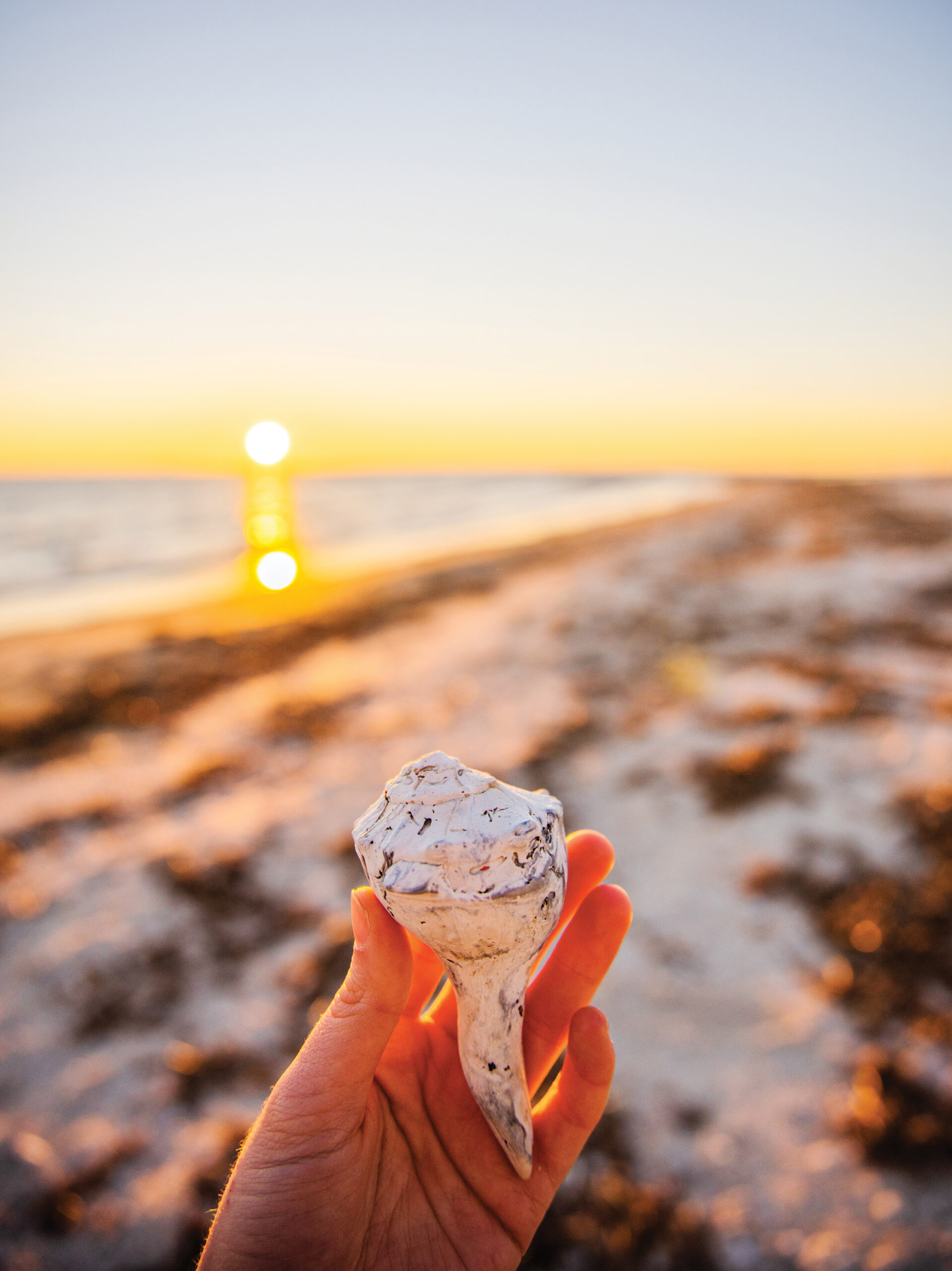 Experience Southwest Louisiana’s Creole Nature Trail: Scenic Byways and Coastal Wonders - Louisiana Cookin' Story by Daniel Schumacher Photos courtesy of Kathryn Shea and Grosse Savanne Before summer settles in in earnest, treat yourself to the trip of a lifetime down southwest Louisiana’s breathtaking Creole Nature Trail. The rambling 180-mile scenic byway weaves its way through wetlands and preserves as it meanders toward the Gulf. Along the way, you’ll shell being held up at sunset on beach