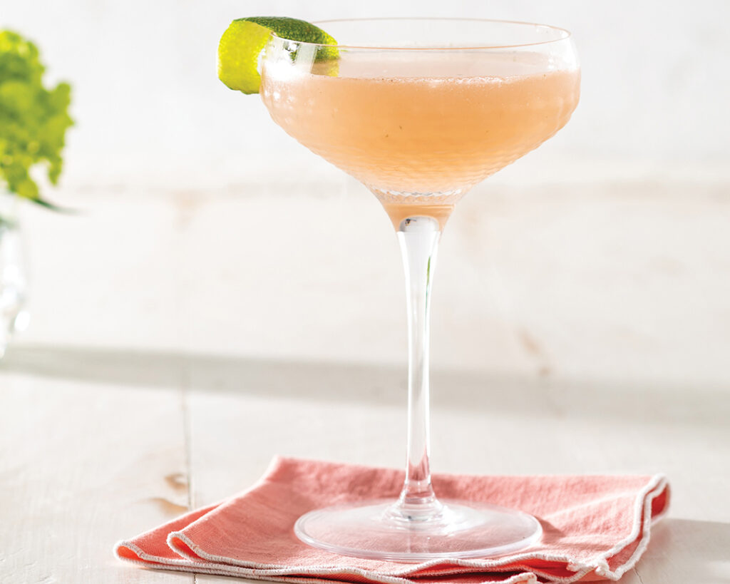 Parakeet Nordine Cocktail