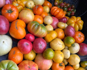 Chef Chat: Bootlegger Botanicals - Louisiana Cookin' Two Louisianans on a mission to turn Bootlegger Botanicals into an heirloom farm powerhouse. 