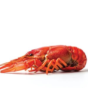 Weekend Away: Discover Gulf Coast Charm in Pensacola, Florida - Louisiana Cookin' With shopping, dining, and attractions, the coastal gem that is Pensacola, Florida, will be the "weekend away" of your dreams. 